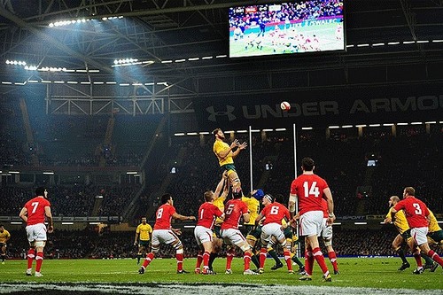 Rugby World Cup