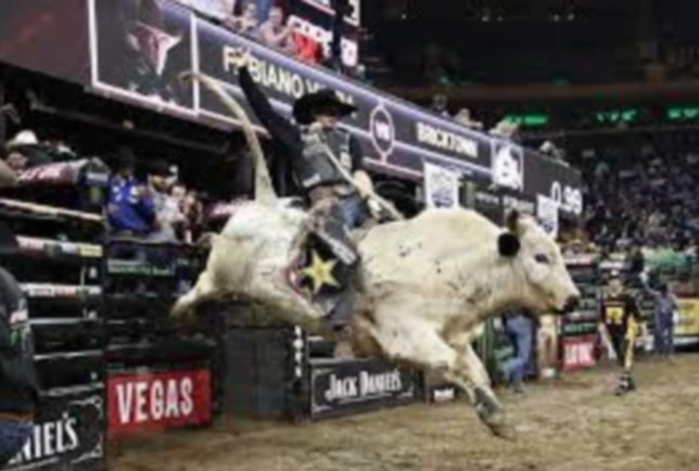 Bull riding a hard and tough sport.