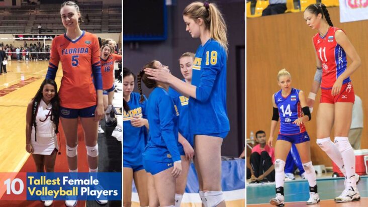 The Top 10 Tallest Female Volleyball Players - SportsXm