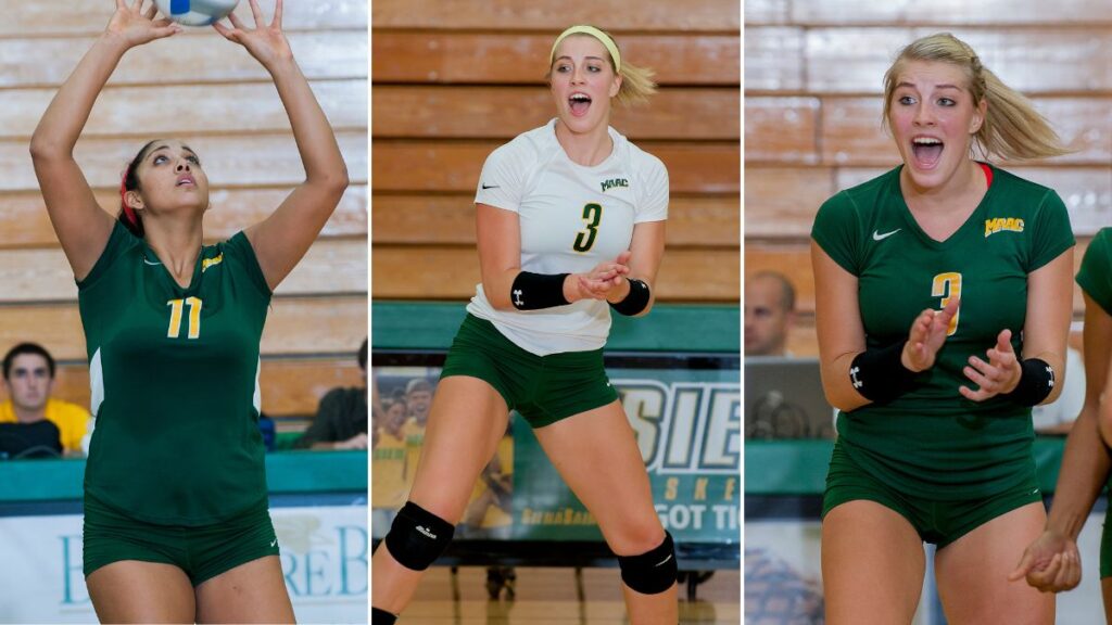 Siena College Saints Women Volleyball Athlete