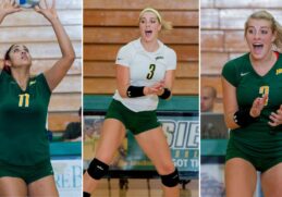 Siena College Saints Women Volleyball Athlete